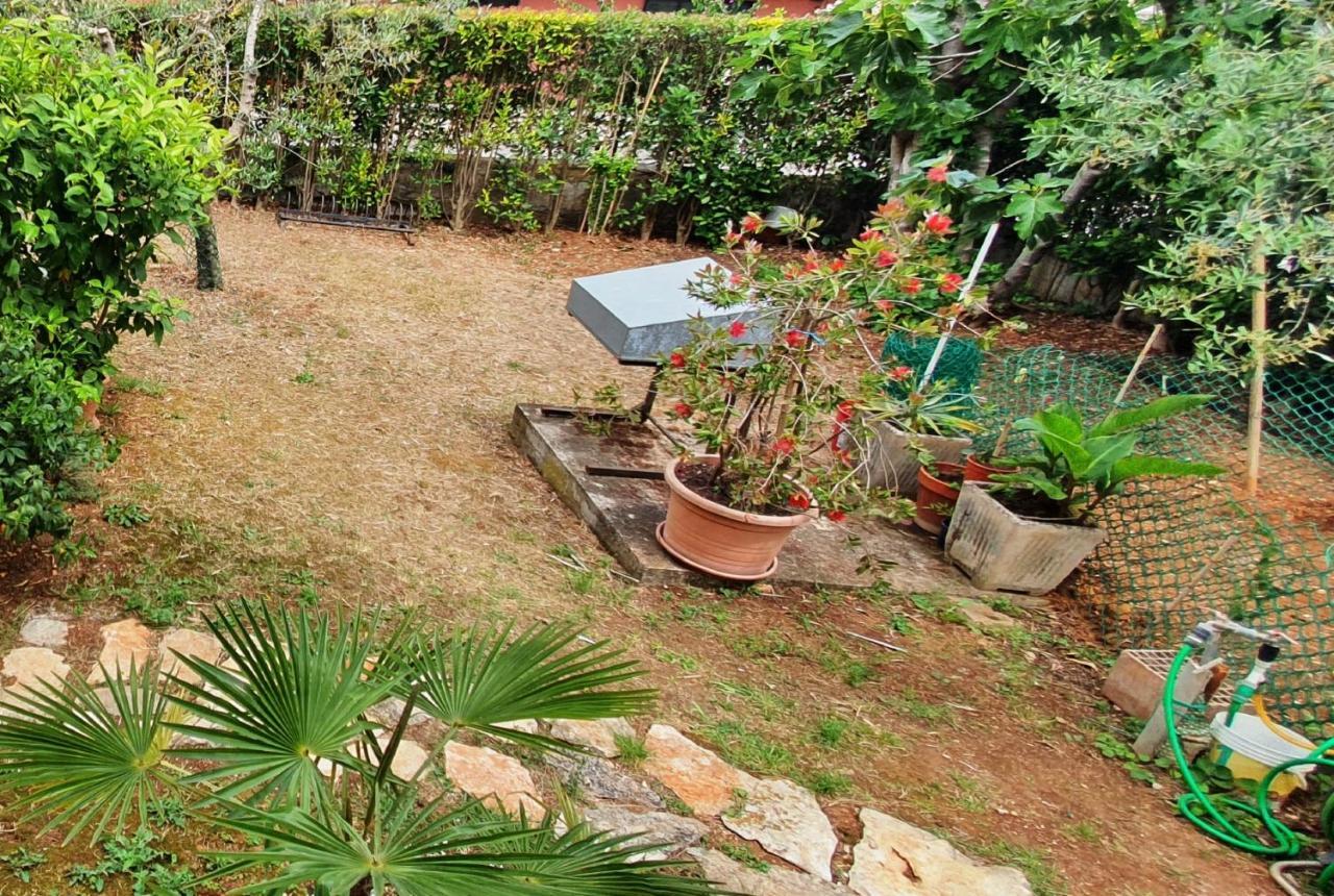 Cecillia Mare Apartments Rovinj Luaran gambar